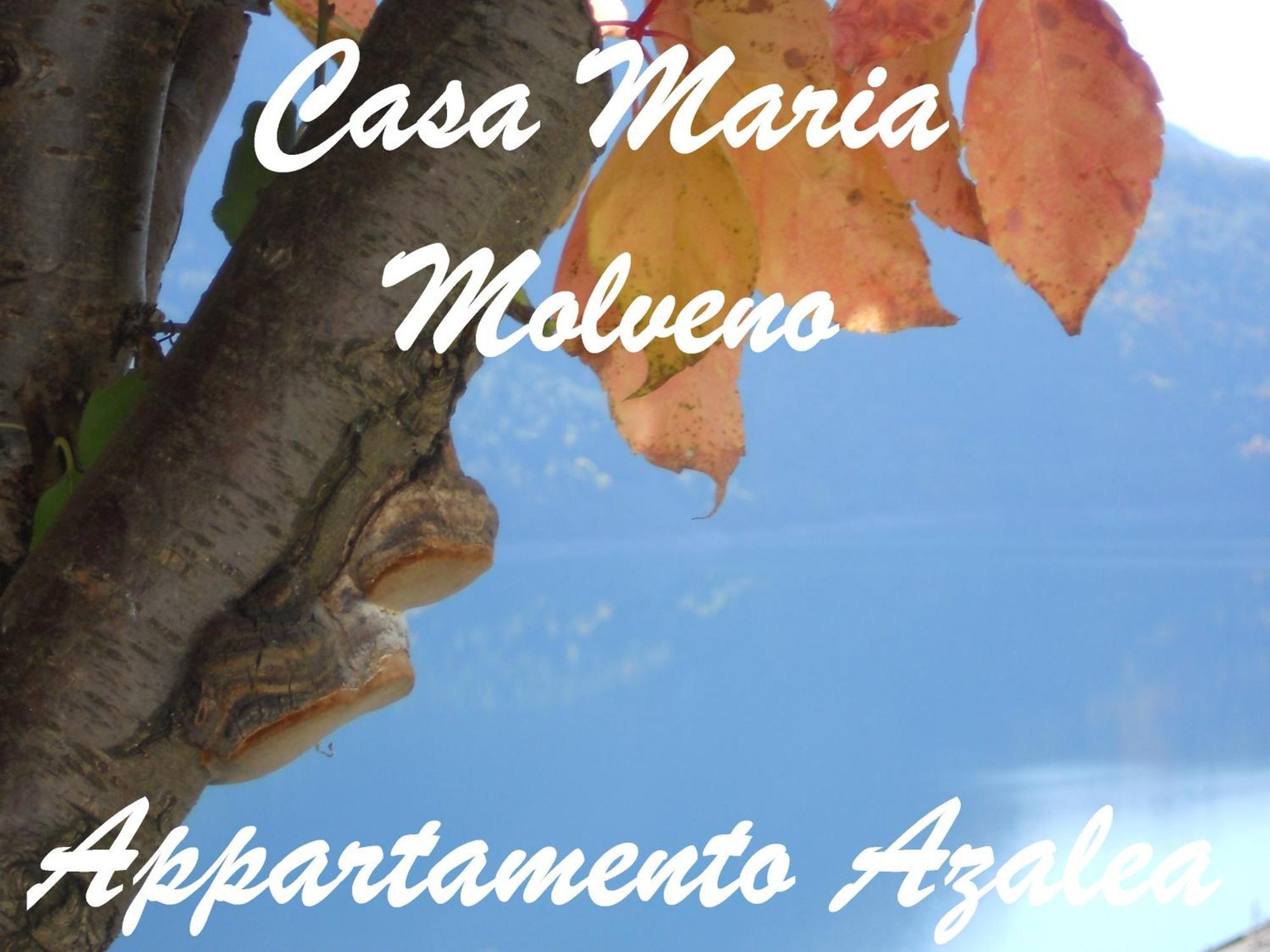 Appartement Casa Maria à Molveno Chambre photo